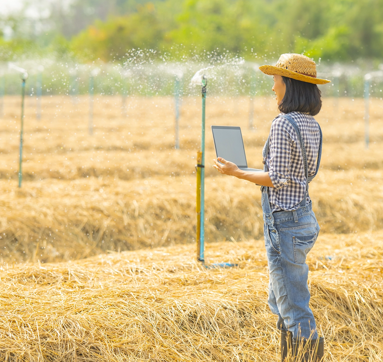 Irrigação e Abastacimento